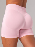 Boost Seamless Shorts - Fairy Floss Clothing Ryderwear