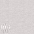 M151S0803QB Basic Pinpoint Oxford