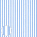 M213S0835T THOMAS MASON Broadcloth