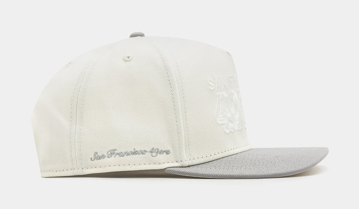 Shoe Palace Exclusive San Francisco 49ers Chrome 950AF Curve Mens Hat (Chrome Grey)
