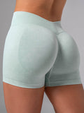 Stonewash Seamless V Back Shorts - Mint Clothing Ryderwear