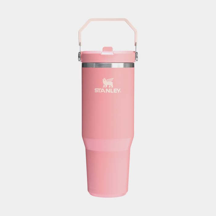 The Iceflow Flip Straw Tumbler 30oz (Pink Mesa)