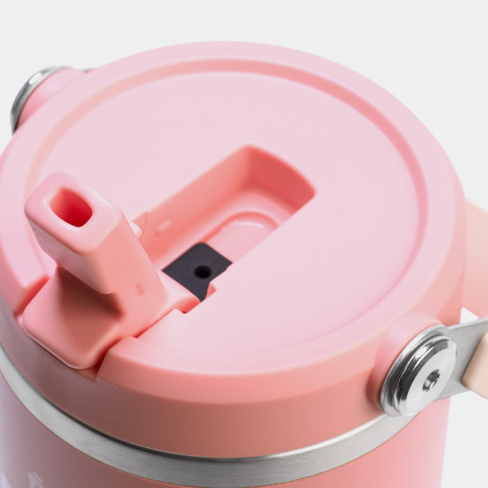 The Iceflow Flip Straw Tumbler 30oz (Pink Mesa)